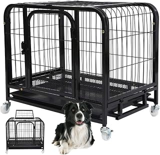 Gaiola Pet Cao Gato Cachorro Animal de Estimaçao Canil Pet Shop Rodinhas Transporte Bandeja
