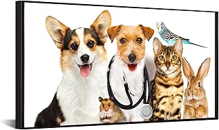 iKNOW FOTO Arte moderna de parede de animais em tela emoldurada cachorro gato coelho rato pássaros