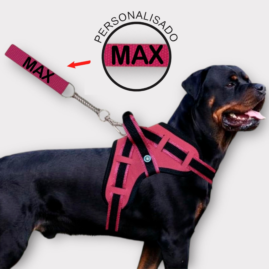 coleira e Guia para cachorro nome personalizado coleira peitoral conforto peiteira sistema