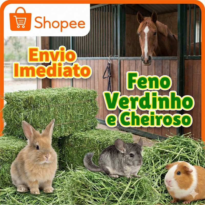 Feno Seco em Pacotes (1kg, 2kg, 3kg,4kg,5kg) - Alimentação Roedores, Cabras e Cavalos