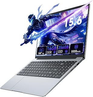 Computador Notebook 15,6" Win11 Pro com Processador 4425Y, 16 GB RAM 256 GB SSD, Ms Office 365, Tela 100% sRGB, Notebook, Dual Band WiFi 5, BT 5.0, USB-A, HDMI, Tela FHD 1920 * 1080