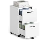 VASAGLE Arquivo com 2 Gavetas, Gaveteiro com Rodízios para Home Office, Arquivo Pequeno com Rodas, Suporte para Impressora, para Pastas A4 e Carta, Branco BROFC040WE01VASAGLE Arquivo com 2 Gavetas,